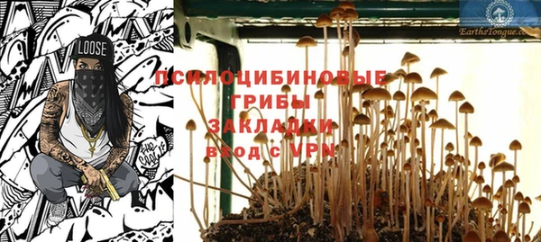 герыч Пересвет