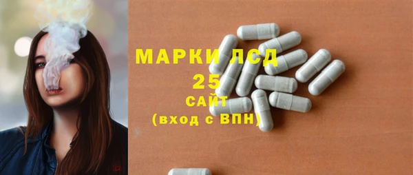 apvp Пестово