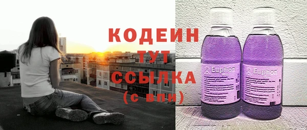 apvp Пестово
