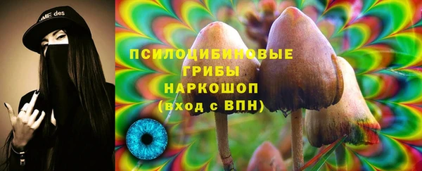 apvp Пестово